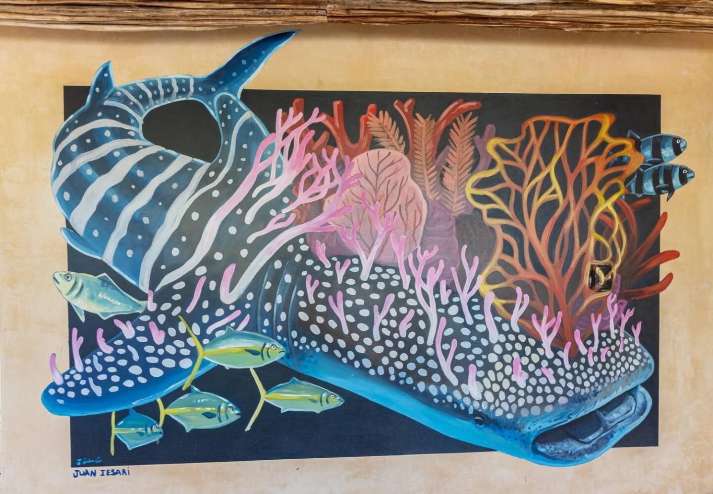 ホテル Pool View Loft Steps From The Ocean In Punta Cocos - C101 ホルボックス島 エクステリア 写真