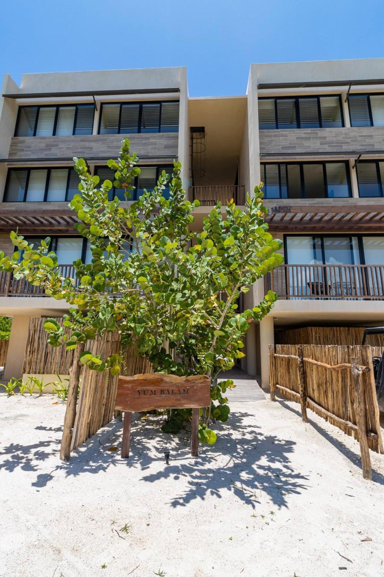 ホテル Pool View Loft Steps From The Ocean In Punta Cocos - C101 ホルボックス島 エクステリア 写真